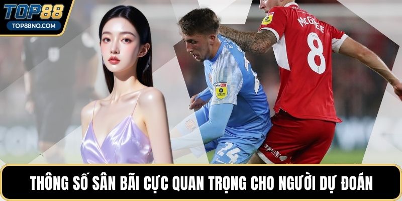 Thông số sân bãi cực quan trọng cho người dự đoán